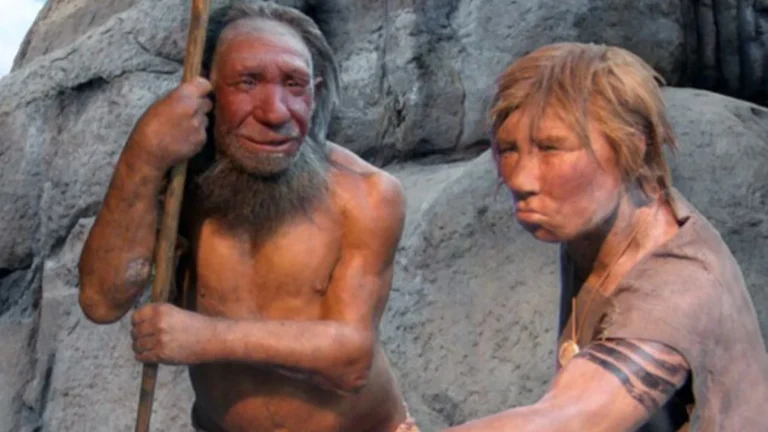 Neandertaller ve Denisovalılar Dil Yeteneğine Genetik Olarak Hazırlıklıydı