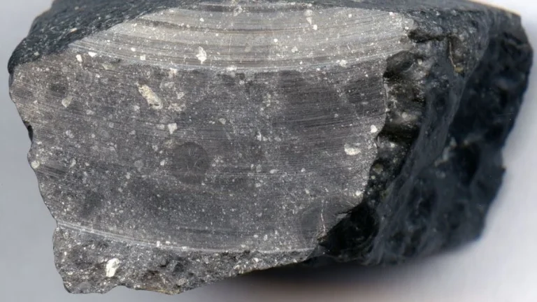 Dünyaya Düşen Mars Meteoriti Antik Su İzleri Taşıyor