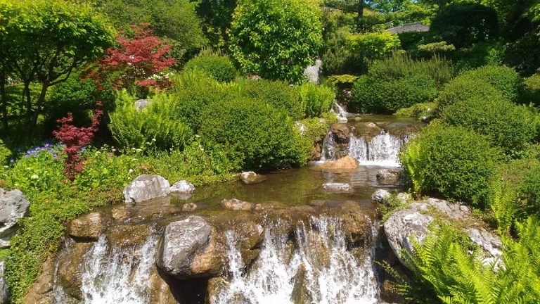 Viyana Otoparkları Yeşil Alana Dönüştürüyor Viyana Otoparkları Yeşil Alana Dönüştürüyor